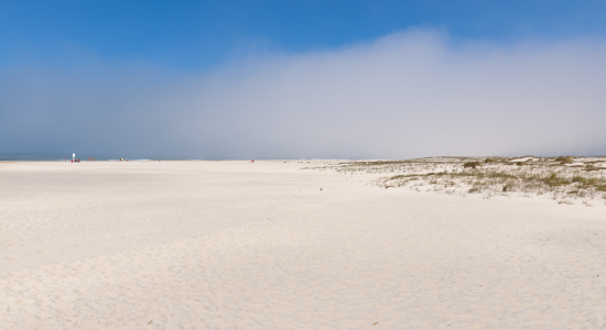 Image slider